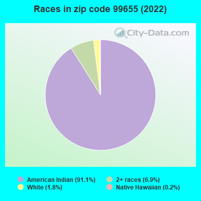 Races in zip code 99655 (2022)