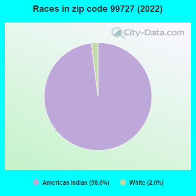 Races in zip code 99727 (2022)