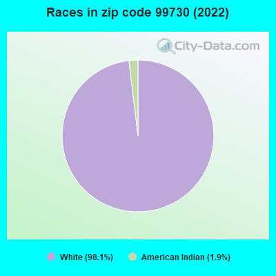 Races in zip code 99730 (2022)