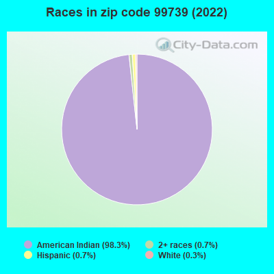 Races in zip code 99739 (2022)