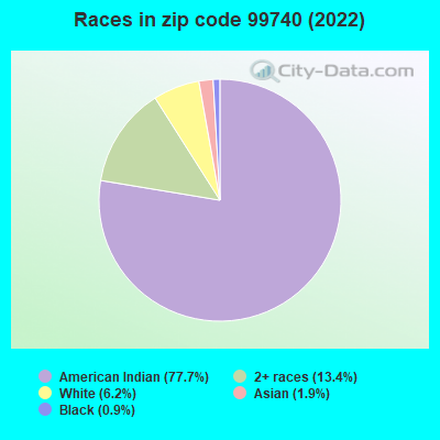 Races in zip code 99740 (2022)