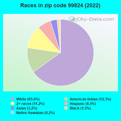 Races in zip code 99824 (2019)