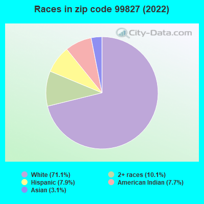 Races in zip code 99827 (2022)