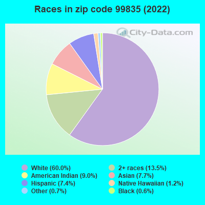 Races in zip code 99835 (2022)