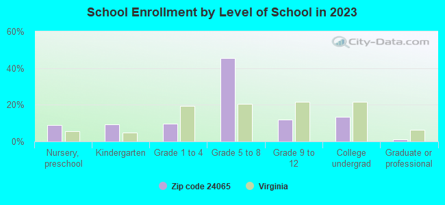 School Enrollment by Level of School in 2019