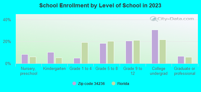 School Enrollment by Level of School in 2019