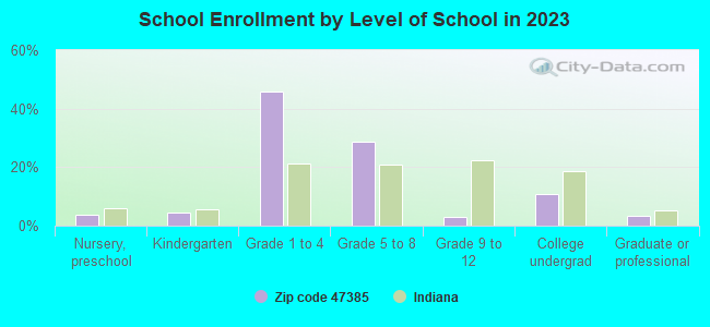 School Enrollment by Level of School in 2019