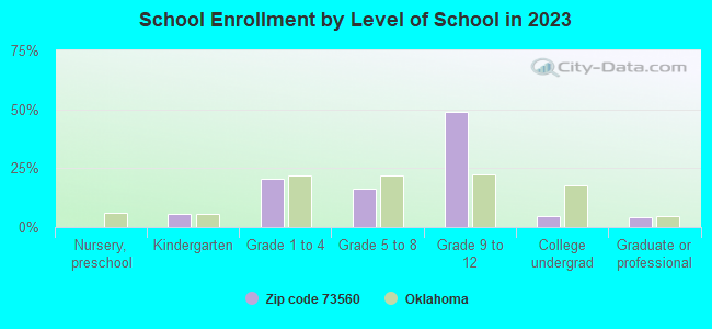 School Enrollment by Level of School in 2019
