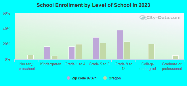 School Enrollment by Level of School in 2019