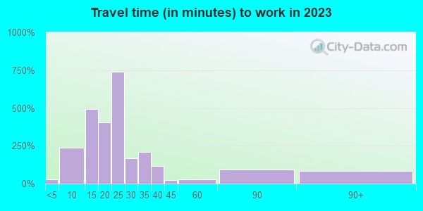 Travel time to work (commute) in zip code 89109