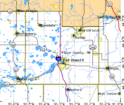 Rice County, MN map