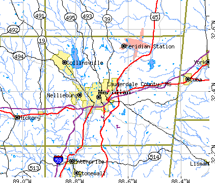 Lauderdale County, MS map