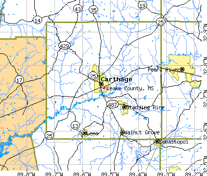 Leake County, MS map