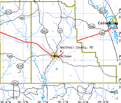 Walthall County, MS map