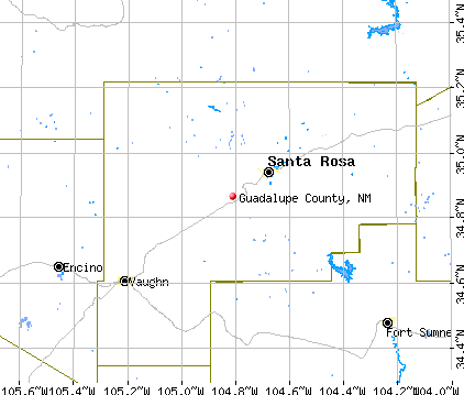 Guadalupe County, NM map