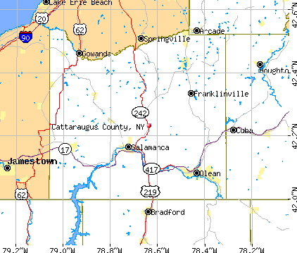 Cattaraugus County, NY map