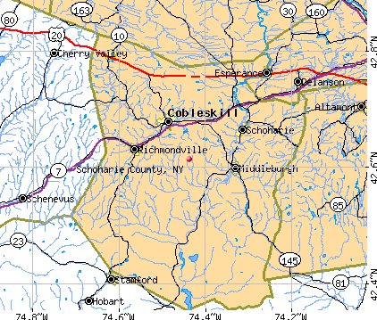 Schoharie County, NY map