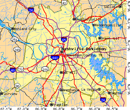 davidson county parcel map