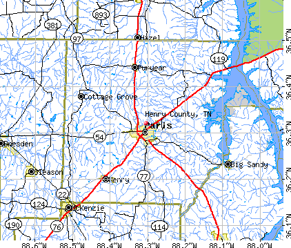 Henry County, TN map