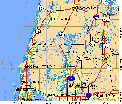 Pasco County, FL map