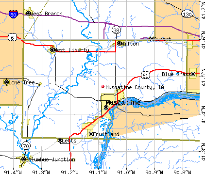 Muscatine County, IA map