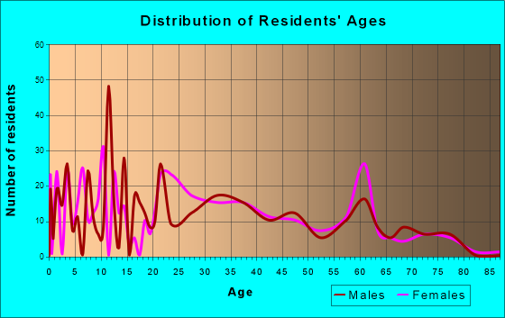 Age and Sex of Residents in zip code 00775