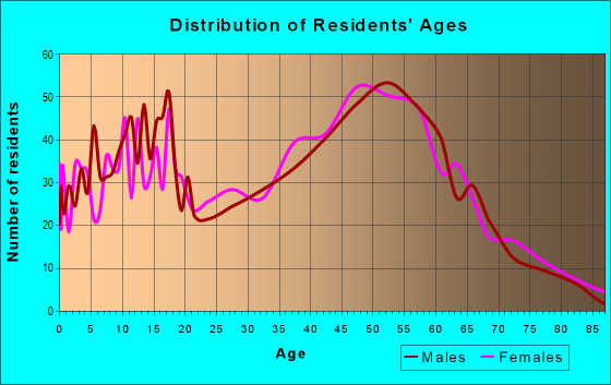 Age and Sex of Residents in zip code 03307