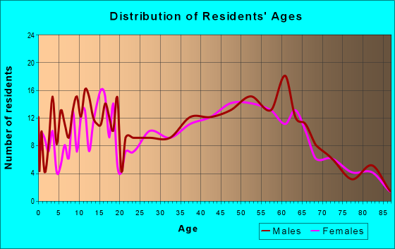 Age and Sex of Residents in zip code 12173