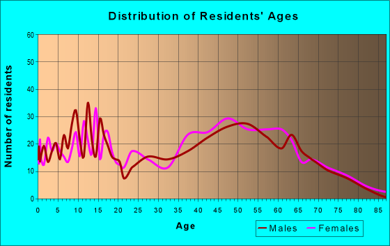 Age and Sex of Residents in zip code 12196
