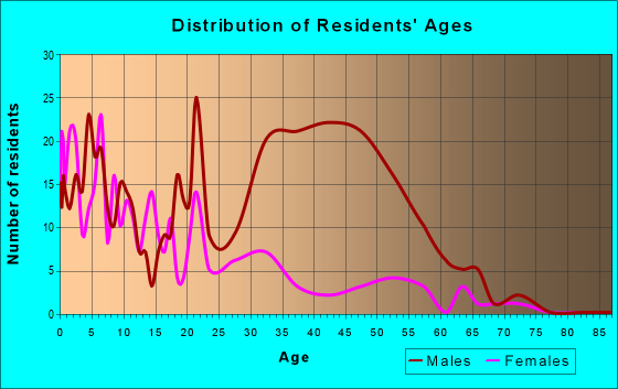 Age and Sex of Residents in zip code 12733
