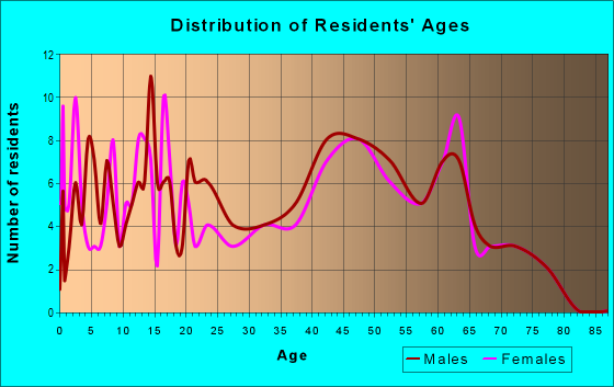 Age and Sex of Residents in zip code 12837