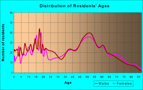 Age and Sex of Residents in zip code 13080