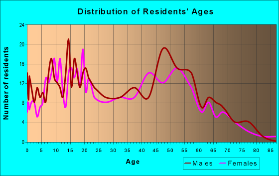 Age and Sex of Residents in zip code 13111