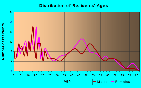 Age and Sex of Residents in zip code 13122