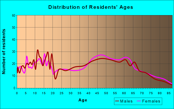 Age and Sex of Residents in zip code 13478