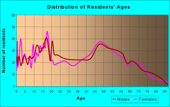 Age and Sex of Residents in zip code 13803