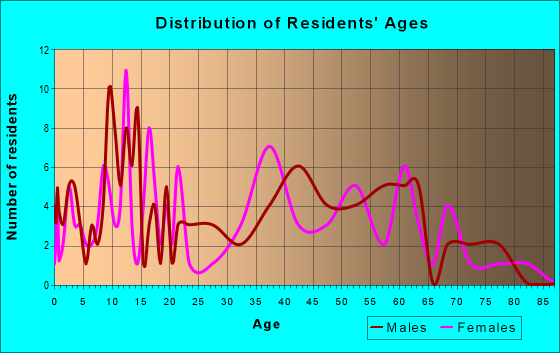 Age and Sex of Residents in zip code 16826