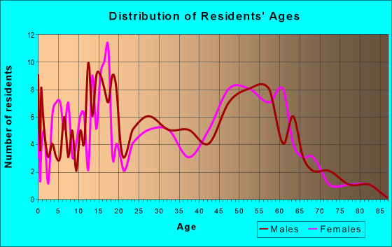 Age and Sex of Residents in zip code 16851