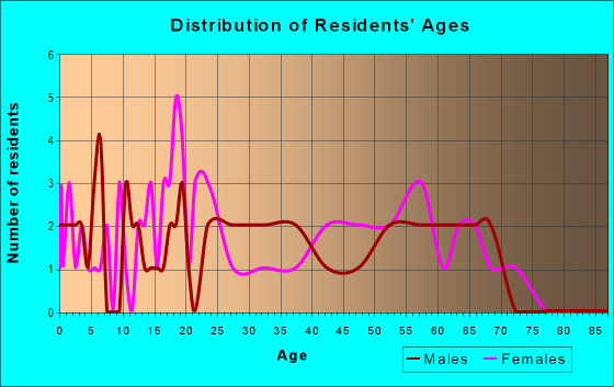 Age and Sex of Residents in zip code 16853