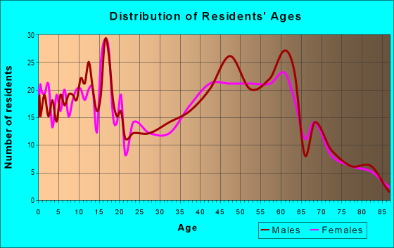 Age and Sex of Residents in zip code 17040