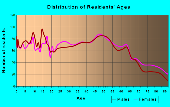 Age and Sex of Residents in zip code 17313