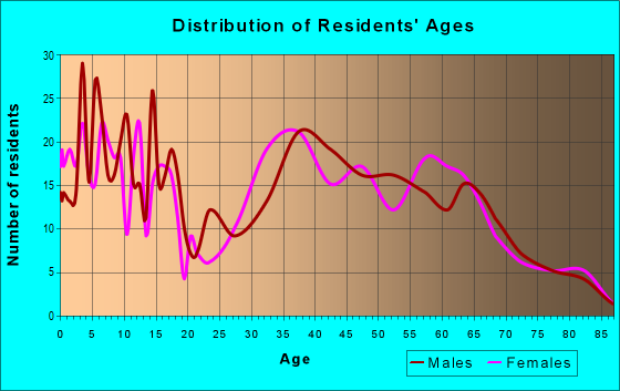 Age and Sex of Residents in zip code 17407