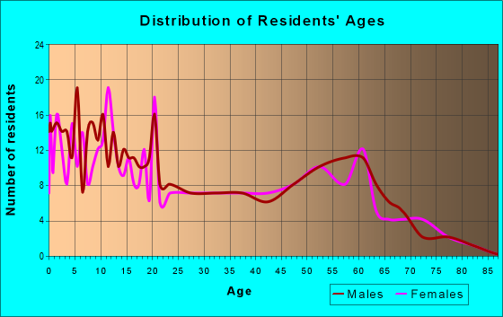 Age and Sex of Residents in zip code 17518