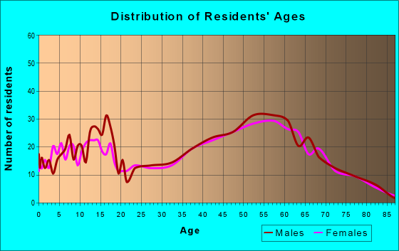 Age and Sex of Residents in zip code 17771