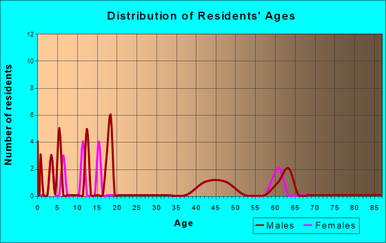 Age and Sex of Residents in zip code 19421