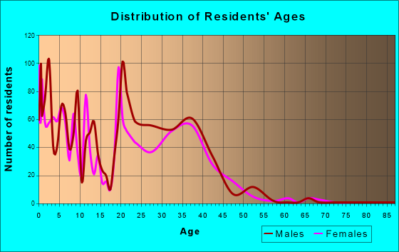 Age and Sex of Residents in zip code 20336