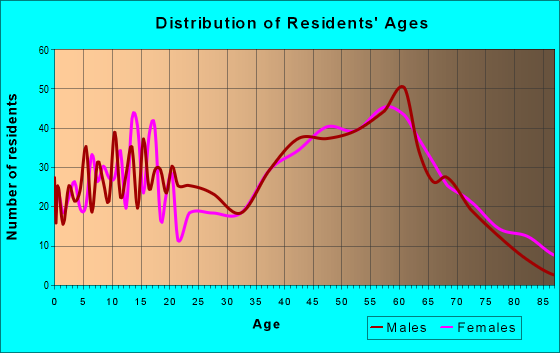 Age and Sex of Residents in zip code 24090