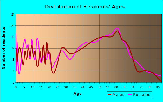 Age and Sex of Residents in zip code 24128