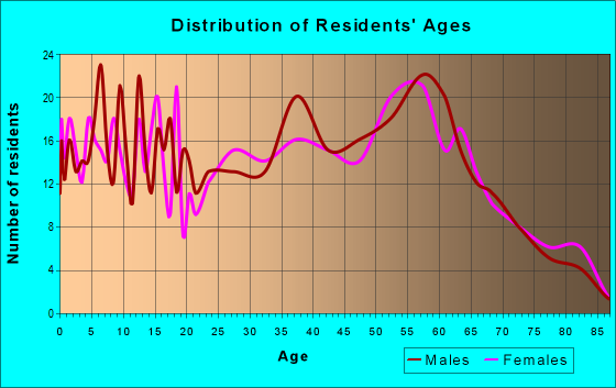 Age and Sex of Residents in zip code 24162