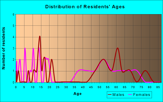 Age and Sex of Residents in zip code 24168